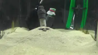Acoustic Courtship of the Common Goby