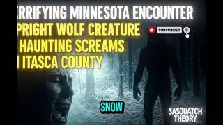 Terrifying Minnesota Encounter: Upright Wolf Creature & Haunting Screams in Itasca County | Sasquatc
