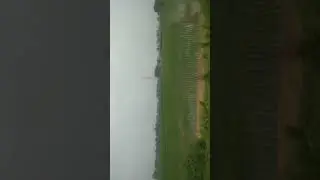 View#of#Punjab#india#top#village#of#rice#top#qualitiy