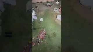 #cowmandi #camelmandi2024 #cowmandi2024 #camelvideos #camel #cowvideos #cowmandiupdate