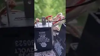 NAPA Electronic Turn Signal Flasher Relay Fail. #napa #relay #3rdgen4runner