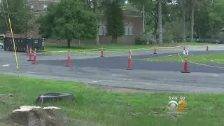 Memorial Trees Cut Down