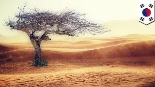 U.N. report warns of catastrophic climate change by 2040 - TomoNews