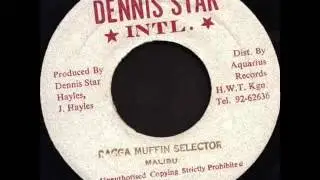 Malibu - Raggamuffin Selector