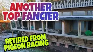 VERY SAD TO SEE ANOTHER TOP FANCIER LEAVING THE SPORT|PIGEON RACING UK