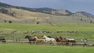 Sundance Guest Ranch