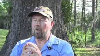 Plight of the Honey Bee