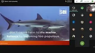 FEAR OF SHARKS | INTERNATIONAL WEBINAR | BCF-INDIA