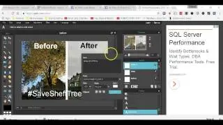 Save Sheffield Trees - how to make a before and after tree picture