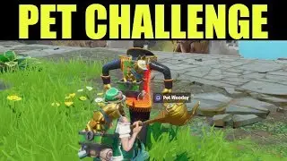Pet a Teammates Pet - Fortnite Team Spirit Challenge Guide