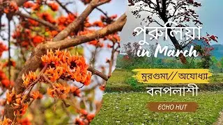 Purulia in March // Murguma Dam //Bamni falls //Marble lake // Kolkata to Purulia by car