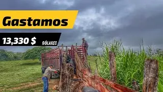 NOS ENGA&Ntilde;ARON? PAPI y YO NOS VOLVIMOS LOCOS Y COMPRAMOS ESTOS ANIMALES