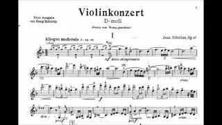Sibelius: Violin Concerto - Extremely emotional Melodica performance (100% tears guaranteed)