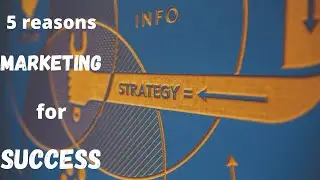 Why MARKETING is Important for Business: 5 reasons