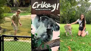 I went to the AUSTRALIA ZOO, aka Steve Irwin Zoo & I saw Robert Irwin 🐊