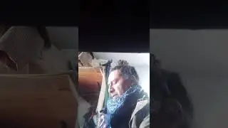 teporingos bubonicos 