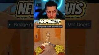 New Anubis Changes 😱