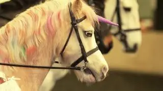 Erme Valley RDA