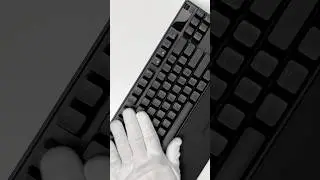 SteelSeries Apex Pro TKL Keyboard Unboxing! #asmr