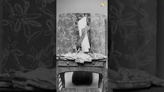 New Fabric, New Era | Fabonique&rsquo;s Boutique Textile Reveal
