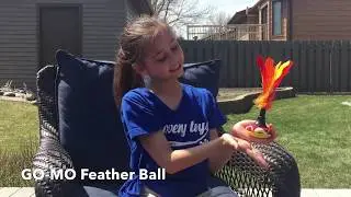 Discovery Toys - Go-Mo Feather Ball
