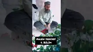 Bir Kalpte İki Sevgi Olmaz ! | Kalbin Tezkiyesi 4. Bölüm #kalp #aşk #gönül #kalbintezkiyesi