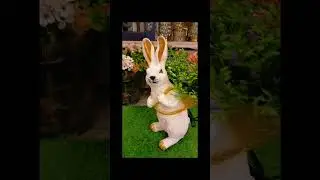 Rabbit Garden Status | Shop now | WhatsApp : 0331 3558464 #shorts #subscribe #pressthebelicon #viral