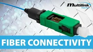 Fiber Connectivity