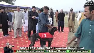 track Derby Dina #imported greyhound#semi final Day 2/25.11.2023