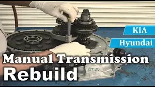 Manual Transmission Rebuild - Hyundai & KIA - M5AF3 & M5BF2 - Elantra - Cerato - Accent - Rio