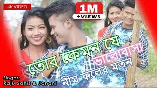 Tor Kemon Je Valobasa Neem Foler Moton | তোর কেমন যে ভালোবাসা নীম ফলের মতন | Raju Sahis | Janani