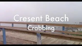 Crescent Beach Crabbing