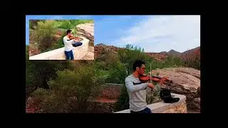 secret garden violin