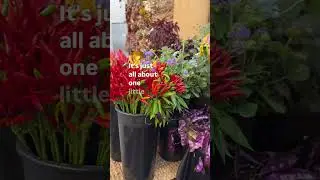 Having abundance in fall is no different than having it for spring or summer
