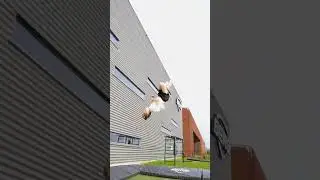 What is this combo of Sebbe called? 🤩💪 #sebbewennmalm #youtubeshorts #bergmob #flipping