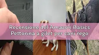 Recensione del Amazon Basics Pettorina a gilet per cani regolabile, anti-trazione, con clip anterior
