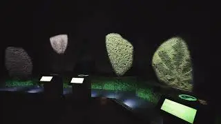 Multimedia Exhibition 