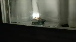 Motion-Triggered Hypnotoad with Sound