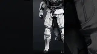 Hunter Fashion:Iron Banner Edition #destiny2