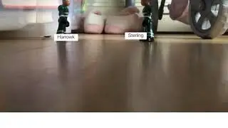 Harrowk VS Sterling in a nutshell