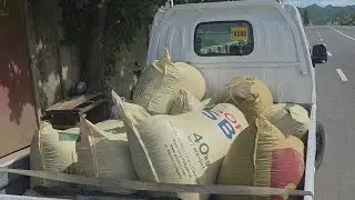 Filipino Rice Processing