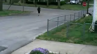 Security Camera Catch A Gem!