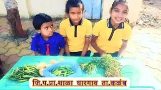 बाल आनंद मेळावा जि.प.प्रा.शाळा घारगाव
