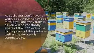 Run Your Honey Bee Farm With UbiBot CO2 Probe
