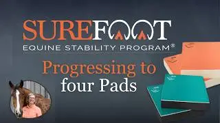 Progressing to four SURE FOOT Equine pads
