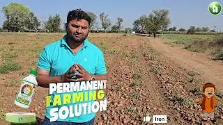 Dr. Utsav Patel&rsquo;s Guidance: How to increase Quantity & Quality Production in Potato