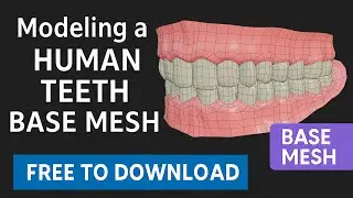 Modeling a Human Teeth in Blender &ndash; Base Mesh Timelapse