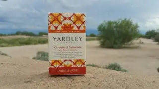 yardley of London pumpkin and brown sugar bar soap
