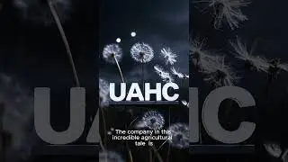 🌼 Can United American Healthcare ($UAHC) Really Make Tire Rubber from Dandelions?