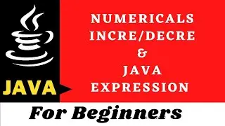 Numericals based on increment/decrement and java expression